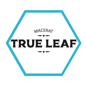 Gamme True Leaf | Starvap